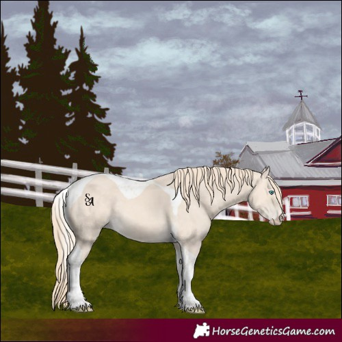 Horse Color:Perlino Tobiano 