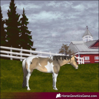 Horse Color:Buckskin Mushroom Tobiano