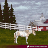 Horse Color:Perlino Tobiano