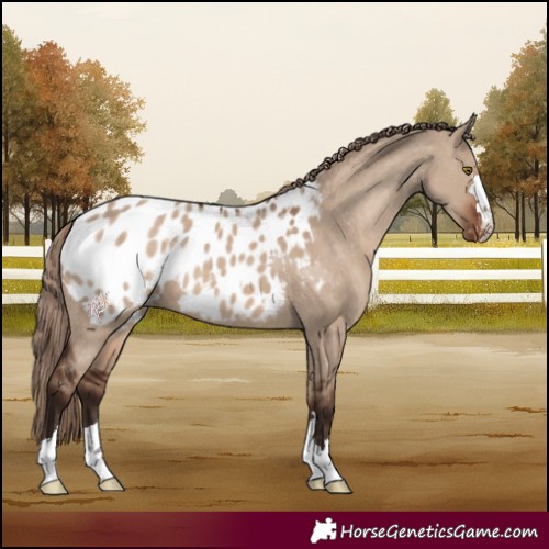Horse Color:Liver Red Dun Blanket 