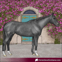 Horse Color:Black Varnish