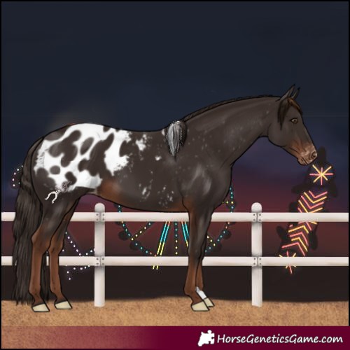 Horse Color:Liver Chestnut Blanket 