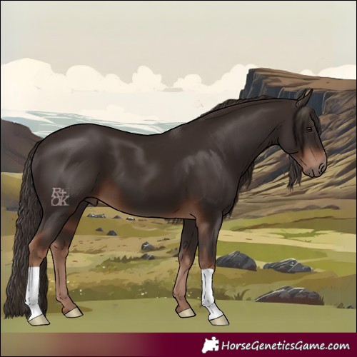 Horse Color:Liver Chestnut 