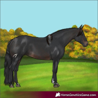 Horse Color:Brown 
