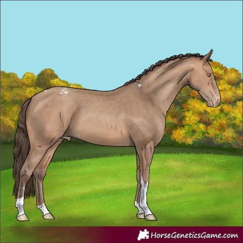 Horse Color:Amber Champagne Tobiano Varnish 