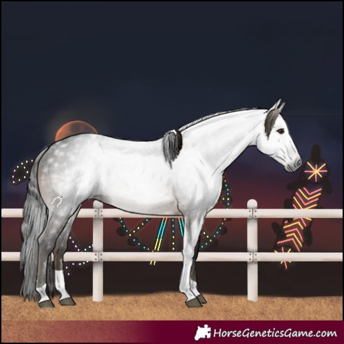 Horse Color:Gray Bay Tobiano 