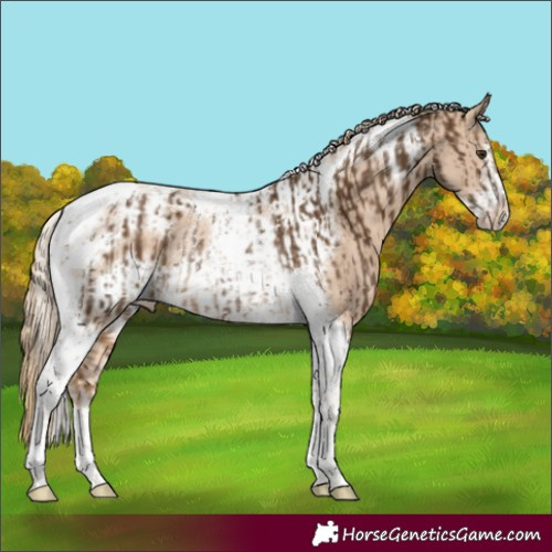 Horse Color:Chocolate Palomino Tobiano Rabicano  and Perlino Tobiano Frame Rabicano 