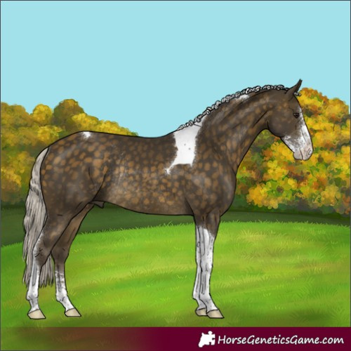 Horse Color:Silver Buckskin Sabino Tobiano Rabicano