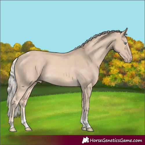 Horse Color:Cremello Sabino Tobiano Rabicano