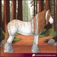 Horse Color:White Spotted Red Dun 