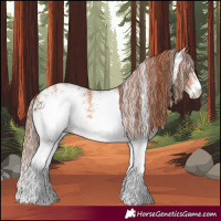 Horse Color:White Spotted Gold Champagne