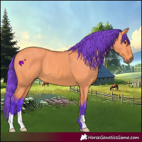 Horse Color:Watercolor Bay Dun 