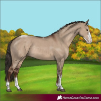Horse Color:Liver Red Dun Sabino Tobiano Rabicano 