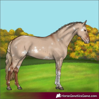 Horse Color:White Spotted Red Dun Tobiano