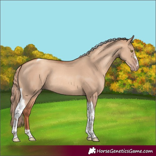 Horse Color:Gold Champagne Dun Tobiano Rabicano