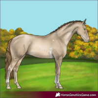 Horse Color:Smoky Black Pearl Tobiano Rabicano 