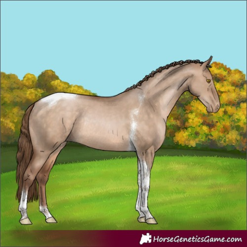 Horse Color:Brown Pearl Dun Tobiano Rabicano