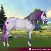 Horse Color:Watercolor Red Dun 