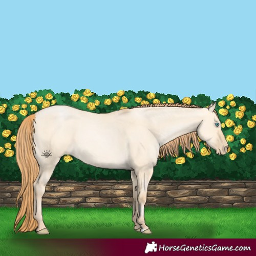Horse Color:Buckskin Pearl Dun 