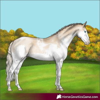 Horse Color:Chocolate Palomino Pearl Dun Splash Tobiano Rabicano 