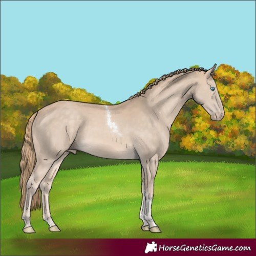 Horse Color:Perlino Tobiano Rabicano 