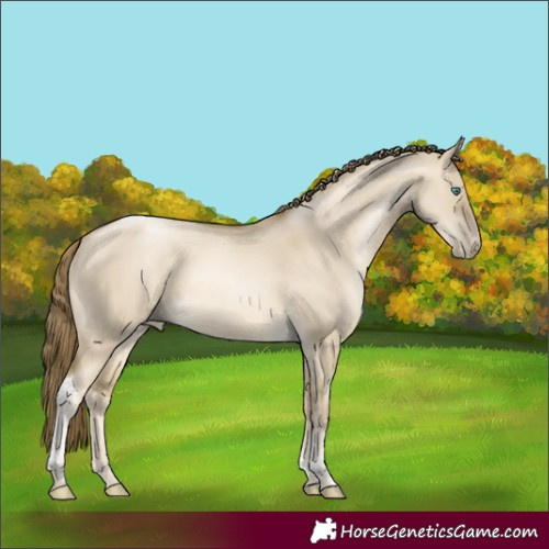 Horse Color:Smoky Grullo Snowdrop Tobiano Rabicano 