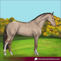Horse Color:Classic Champagne Dun Tobiano Rabicano