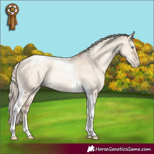 Horse Color:Chocolate Palomino Pearl Dun Tobiano Rabicano 