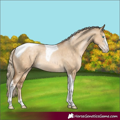 Horse Color:Liver Red Dun Snowdrop Pearl Sabino Tobiano Rabicano 