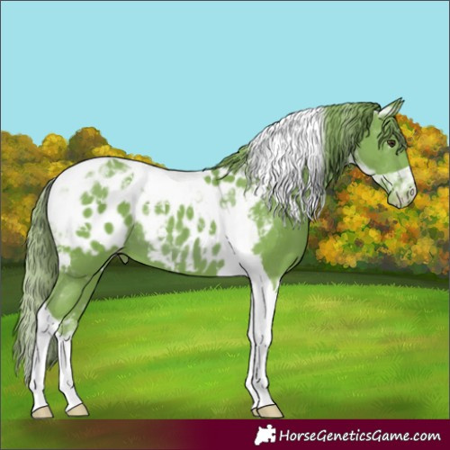 Horse Color:Watercolor Chestnut Tobiano Appaloosa 