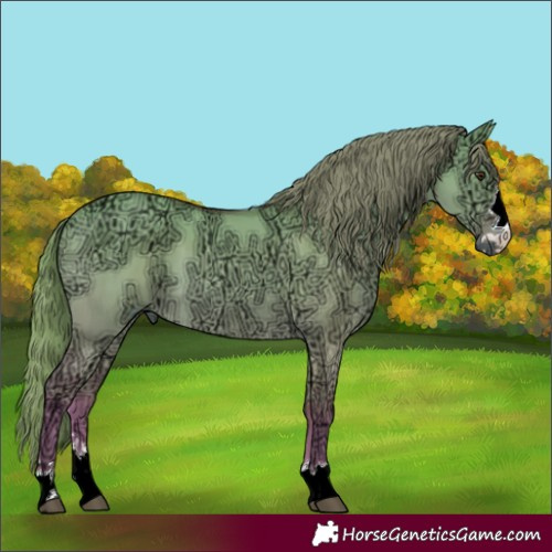 Horse Color:Watercolor Red Dun Ice