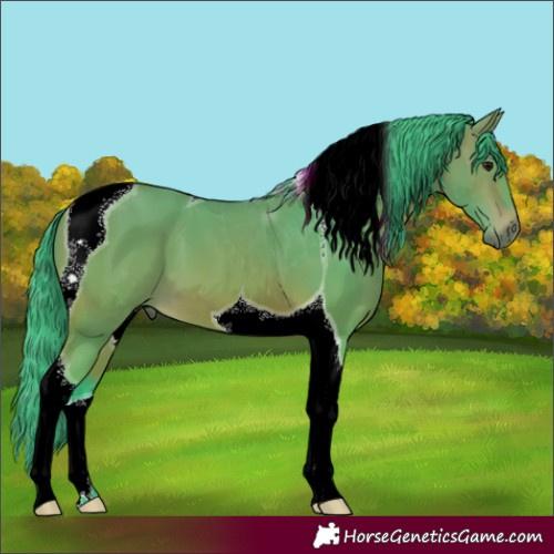 Horse Color:Watercolor Bay Tobiano 