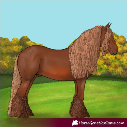 Horse Color:Chestnut 