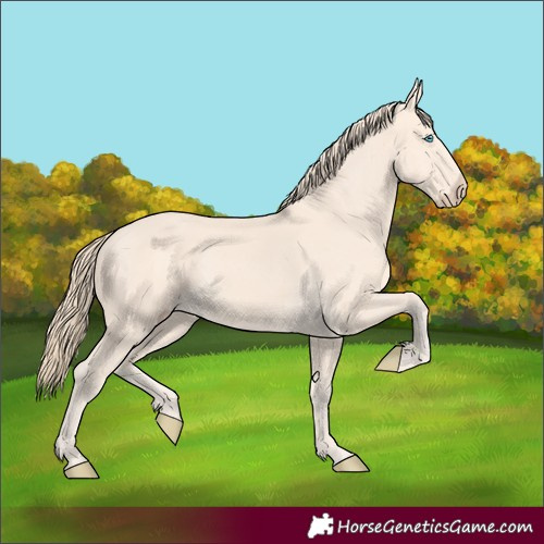 Horse Color:Perlino 