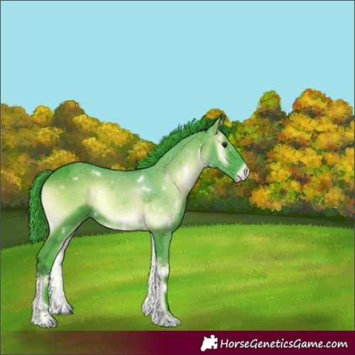Horse Color:Watercolor White Spotted Liver Red Onyx