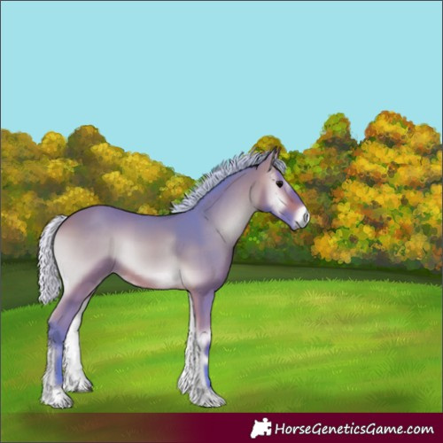 Horse Color:Watercolor Silver Bay Onyx