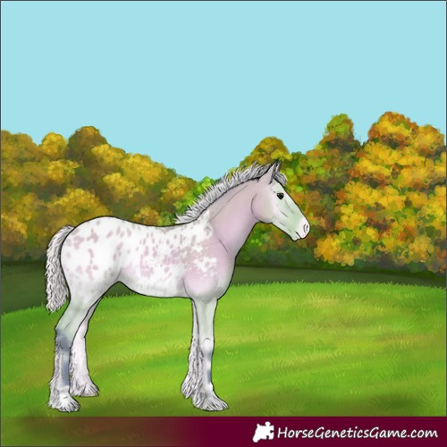 Horse Color:Watercolor Silver Bay Onyx Blanket