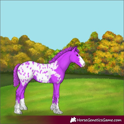 Horse Color:Watercolor Chestnut Blanket 