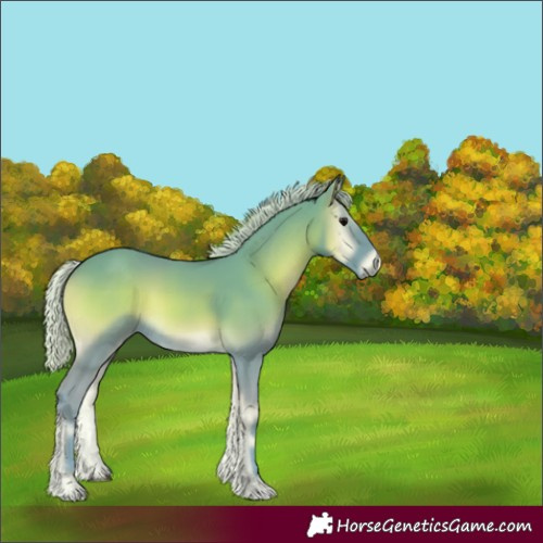 Horse Color:Watercolor Silver Smoky Blue Onyx