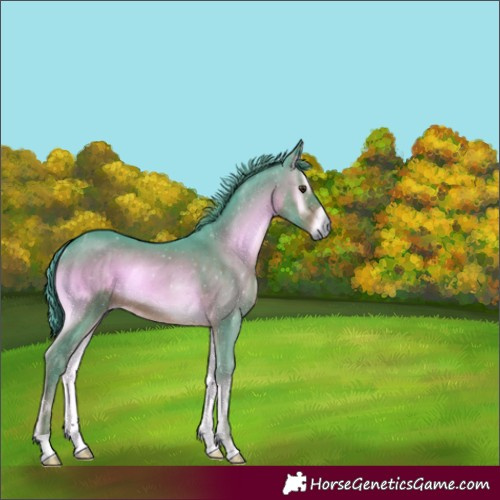 Horse Color:Watercolor Red Onyx Rabicano 