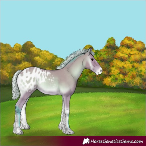Horse Color:Watercolor Silver Bay Onyx Blanket 
