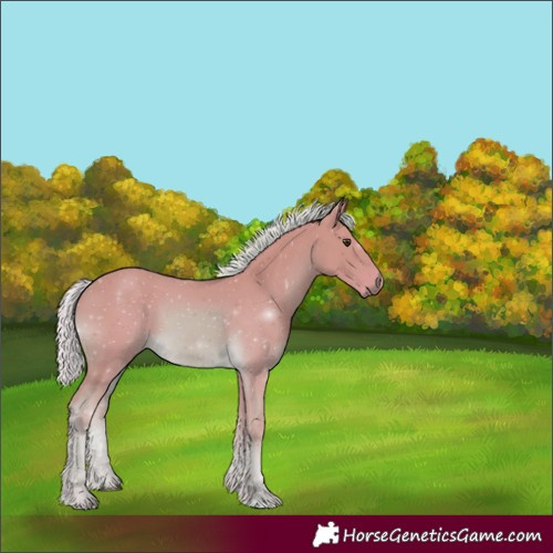 Horse Color:Watercolor Palomino