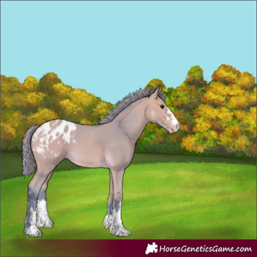 Horse Color:Watercolor Buckskin Blanket