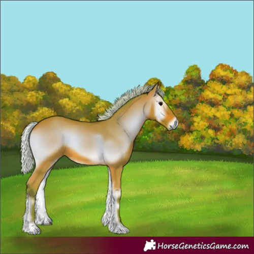 Horse Color:Watercolor Silver Bay Onyx