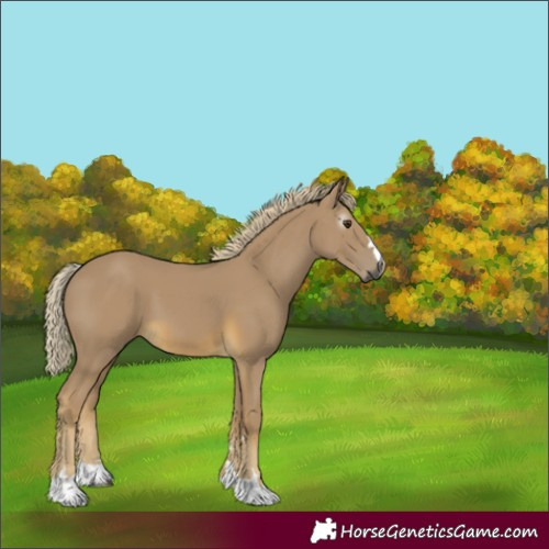Horse Color:Gray Watercolor Palomino 