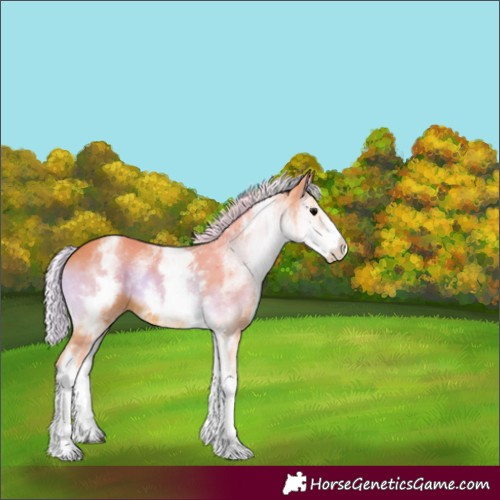 Horse Color:Watercolor White Spotted Silver Bay Onyx 