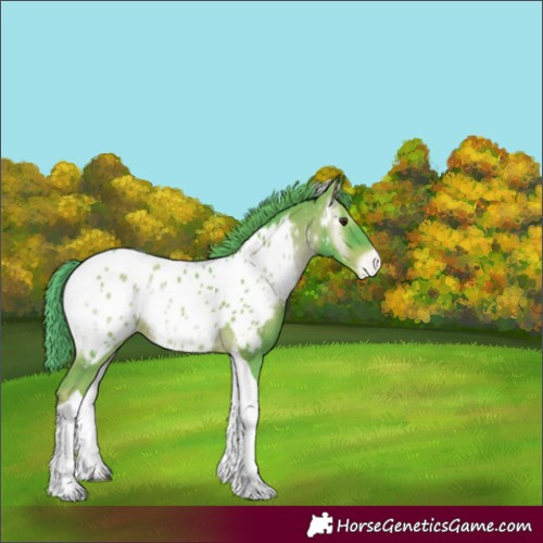 Horse Color:Watercolor Red Onyx Tobiano Near Leopard 