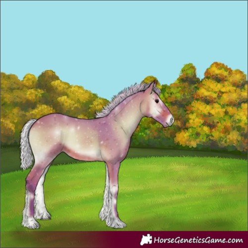Horse Color:Watercolor Silver Bay Onyx 