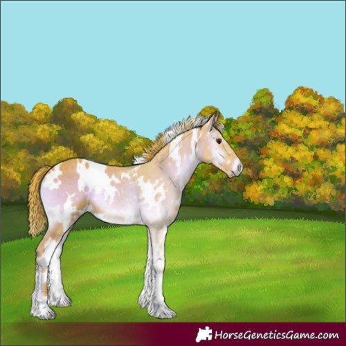 Horse Color:Watercolor White Spotted Red Onyx