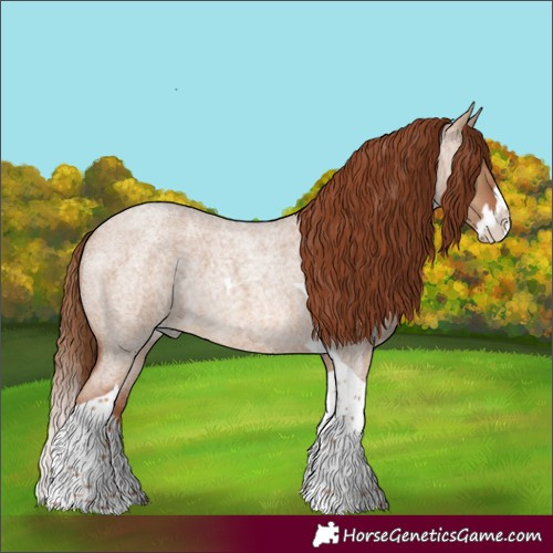 Horse Color:Red Dun Roan Splash Tobiano Rabicano 